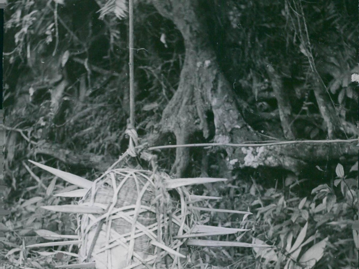 Vietcong Boobytraps
