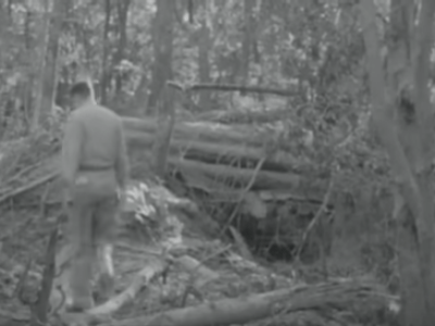 ” FIREPOWER VS. JAPANESE LOG PILLBOXES ” RESTRICTED WWII U.S. ARMY INFANTRY TRAINING FILM&nbsp;XD97565