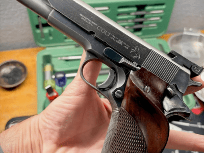 Alton Dinan Bullseye&nbsp;Colt